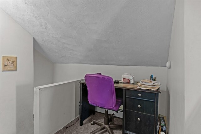 77 Seamans St, Providence, RI 02908 - home office with carpet floors, vaulted ceiling, and a textured ceiling