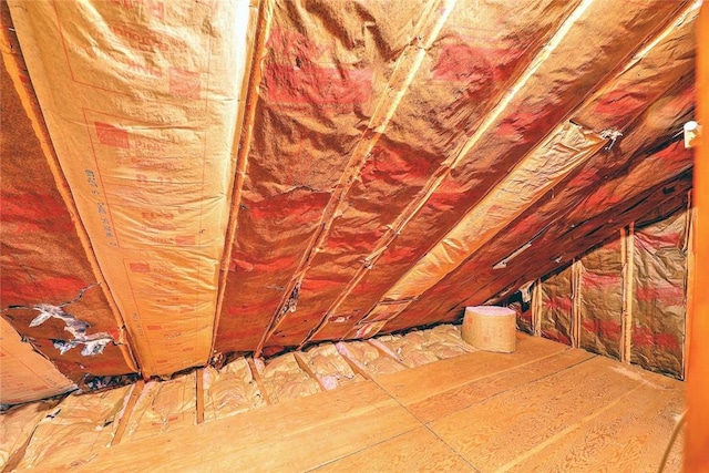 view of attic