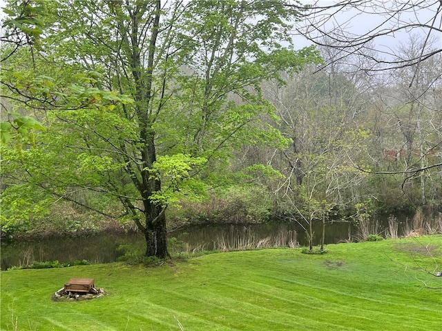 196 Columbia St, South Kingstown, RI 02879 - view of yard featuring a forest view