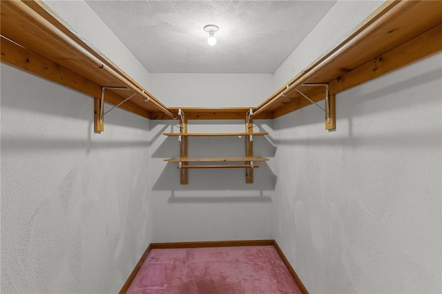 spacious closet with carpet floors