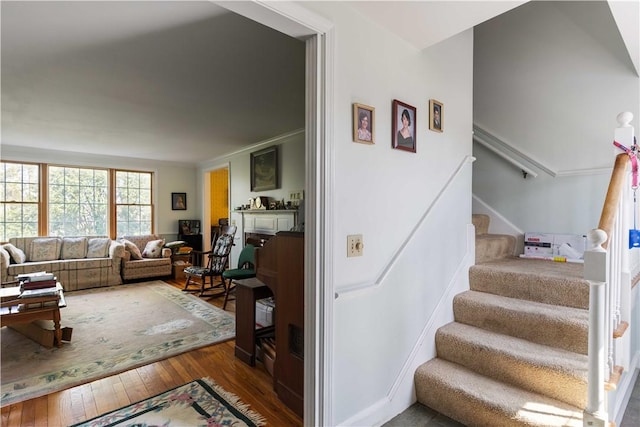 stairway with hardwood / wood-style flooring