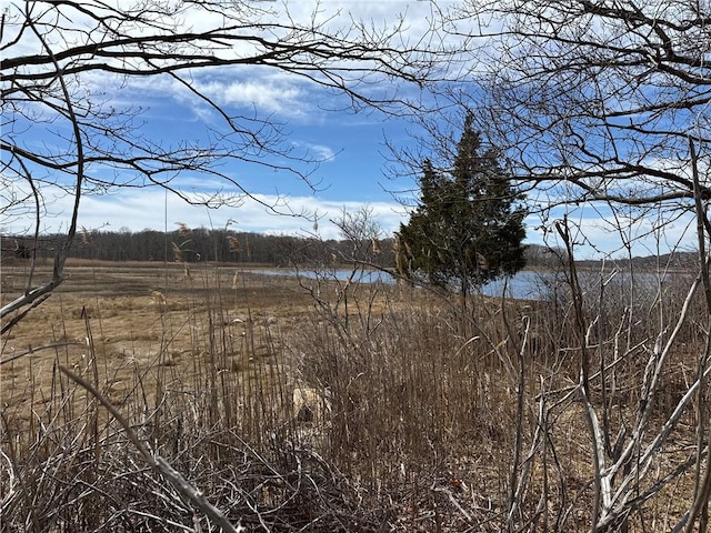 19 Castle Rd, Narragansett, RI 02882 - view of nature