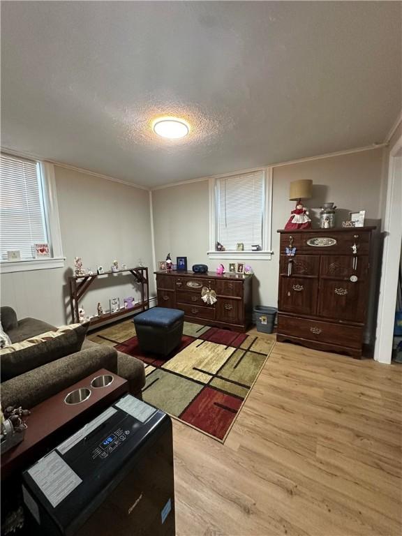living area with ornamental molding, light wood-style floors, and a textured ceiling