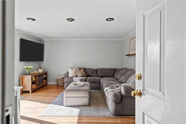 living area featuring ornamental molding, baseboards, and light wood-type flooring