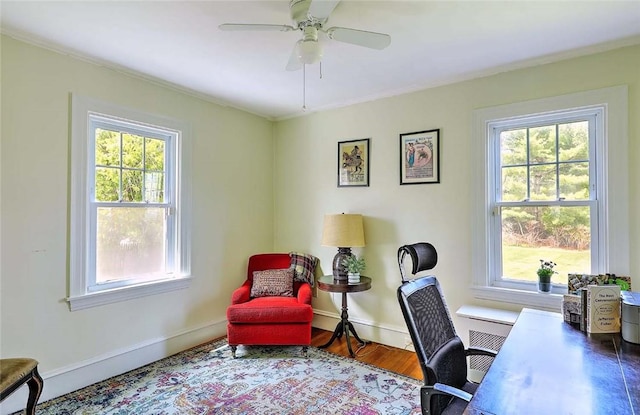 office featuring ceiling fan, baseboards, and wood finished floors
