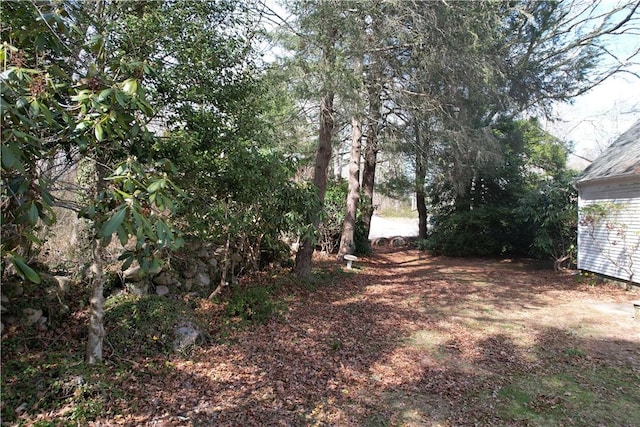 23 Rockland Dr, South Kingstown, RI 02879 - view of yard