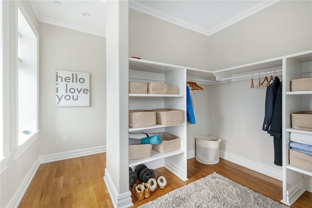 78 Rhode Island Ave Unit 5, Newport, RI 02840 - walk in closet with wood finished floors