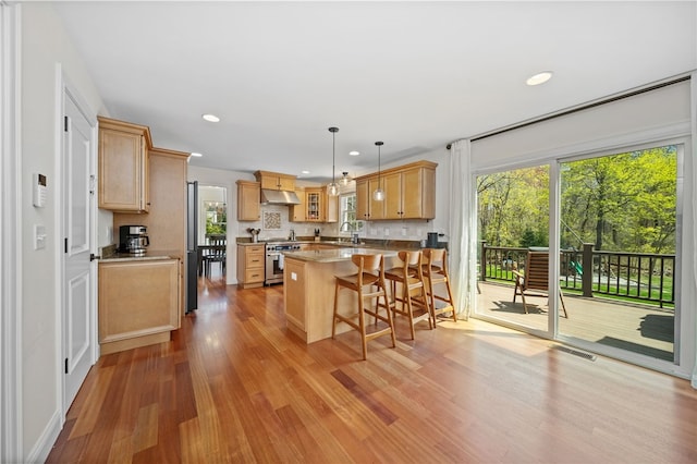 kitchen with light wood-style floors, plenty of natural light, high end range, and a peninsula