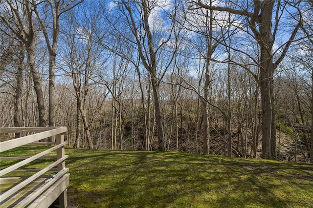 view of yard featuring a view of trees