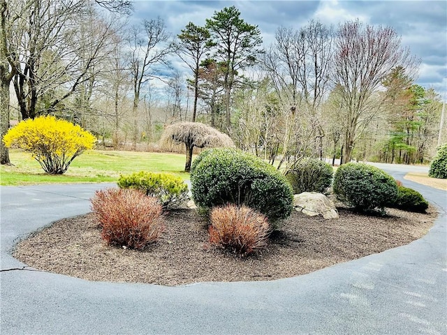 view of community with a yard
