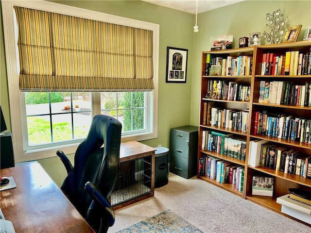 office area with carpet