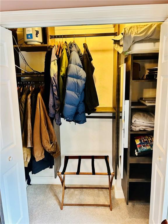 walk in closet featuring carpet floors