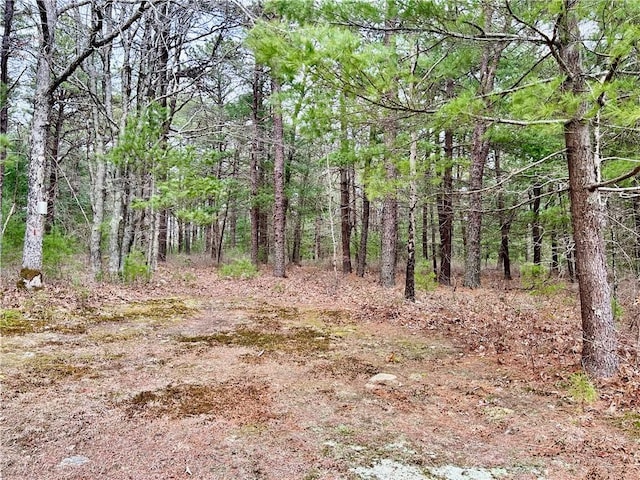 view of landscape featuring a forest view
