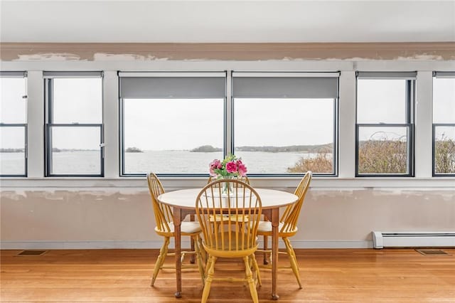 dining room with a baseboard radiator, wood finished floors, a wealth of natural light, and baseboards