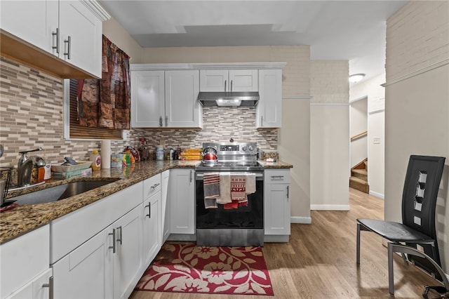 kitchen featuring electric range, decorative backsplash, under cabinet range hood, and a sink