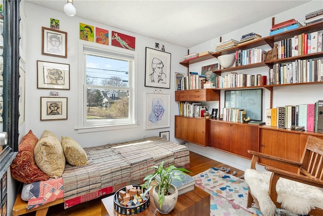 living area featuring wood finished floors