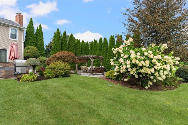 view of yard featuring a pergola, an outdoor kitchen, and a patio area