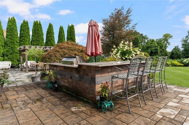 view of patio / terrace with outdoor dry bar, a grill, and exterior kitchen