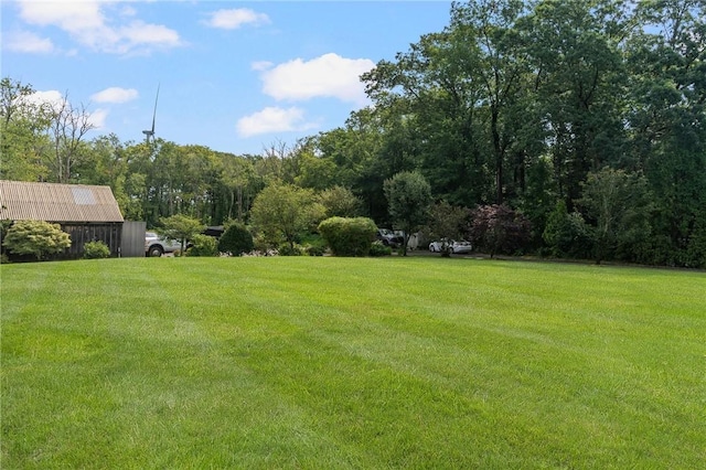 view of yard featuring a forest view