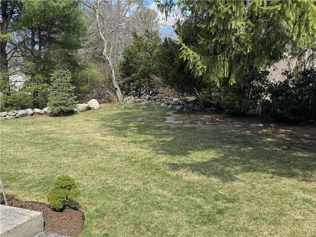 view of yard