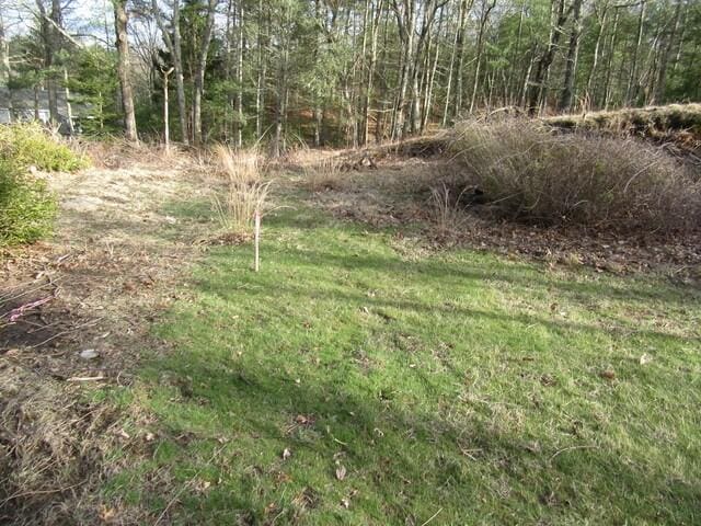 171 Pulaski Rd, Burrillville, RI 02830 - view of landscape