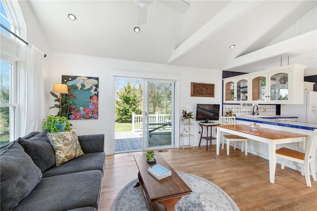 living area featuring high vaulted ceiling, a healthy amount of sunlight, and light wood finished floors