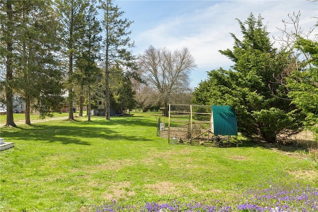 view of yard