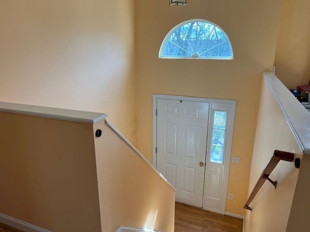 entryway featuring wood finished floors and a wealth of natural light