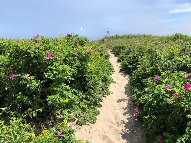 183 Twin Peninsula Ave, South Kingstown, RI 02879 - view of nature