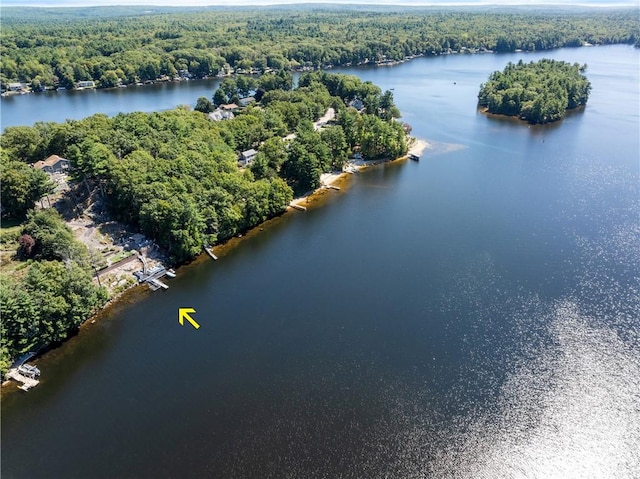 465 Camp Dixie Rd, Burrillville, RI 02859 - aerial view with a water view and a wooded view