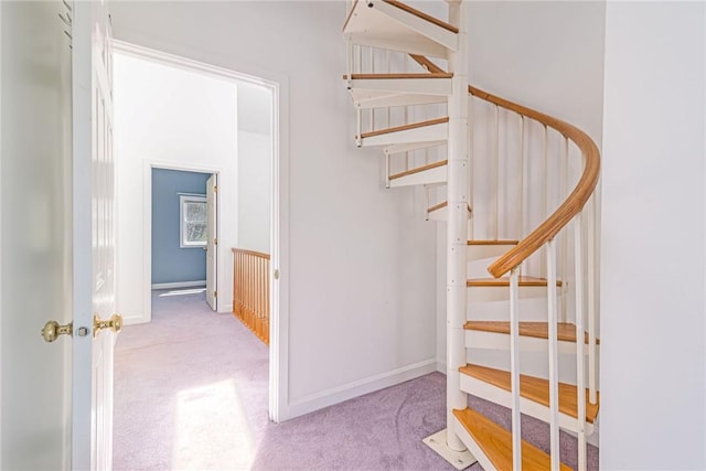 stairway featuring carpet