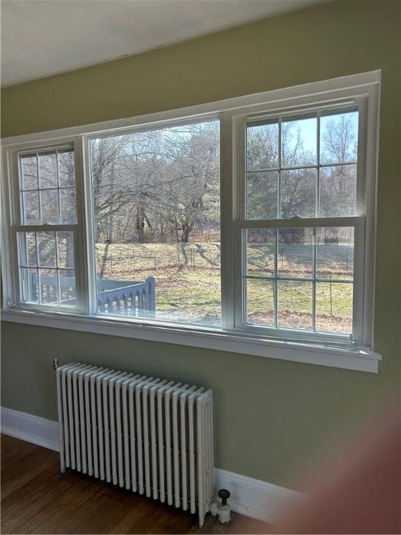 interior details featuring radiator, baseboards, and wood finished floors