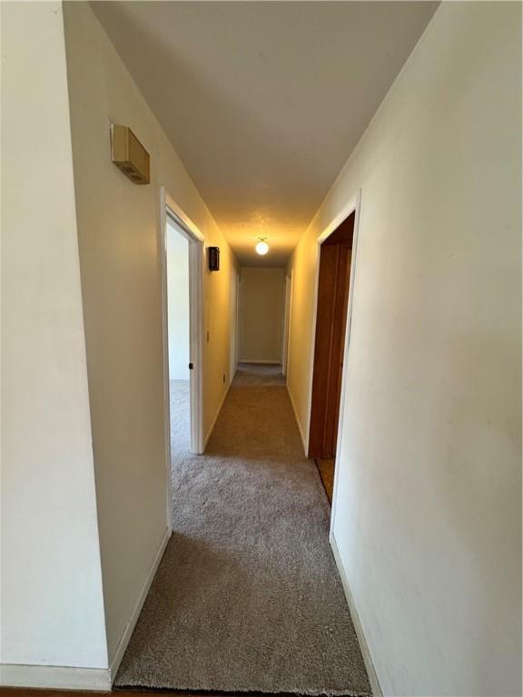 corridor with light colored carpet
