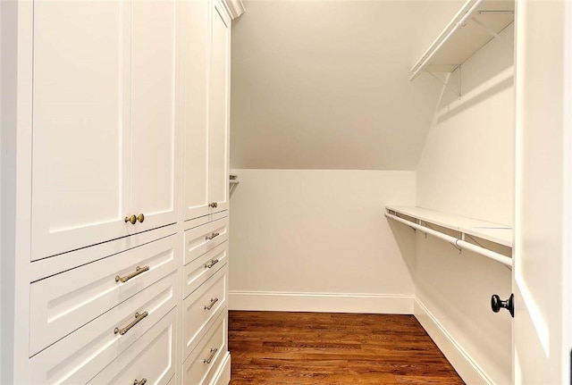 spacious closet featuring dark wood-type flooring
