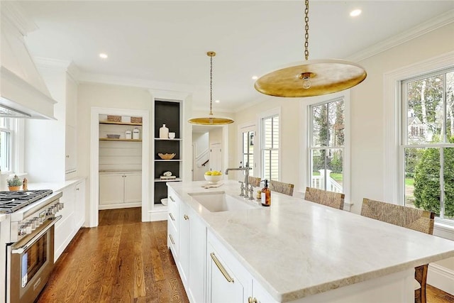 kitchen with high end range, crown molding, a sink, and dark wood-type flooring