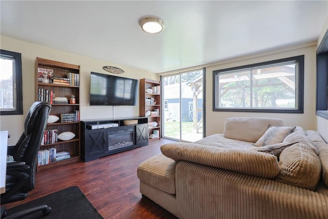 living room with dark wood-style floors