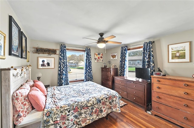 bedroom featuring a ceiling fan, wood finished floors, and multiple windows