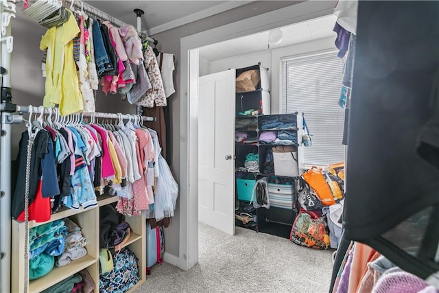walk in closet with carpet