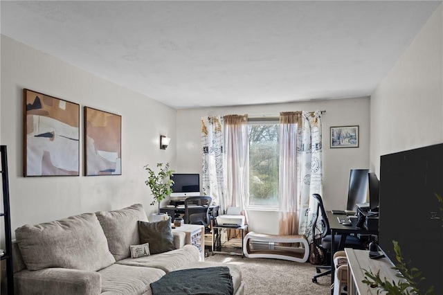 living area featuring carpet floors