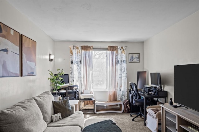 office with carpet floors