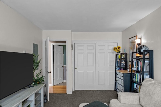 living area featuring carpet