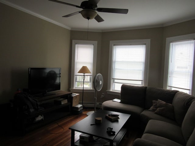 living room with dark wood-style floors, baseboards, a baseboard radiator, a ceiling fan, and ornamental molding