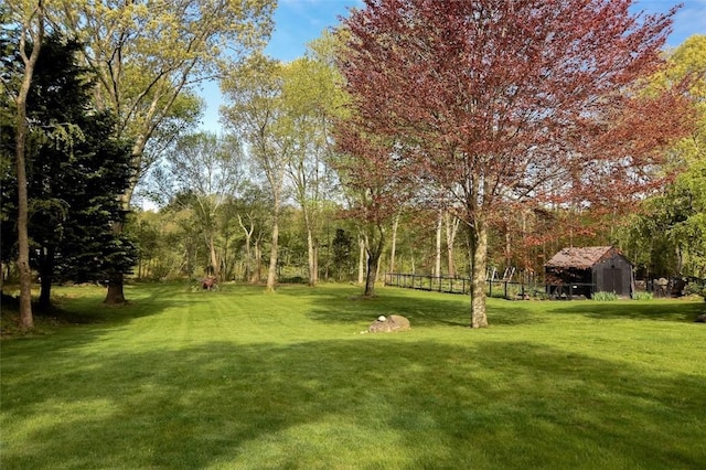view of green lawn with an outbuilding and a shed