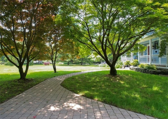 50 Intrepid Ln, Jamestown, RI 02835 - surrounding community with a lawn