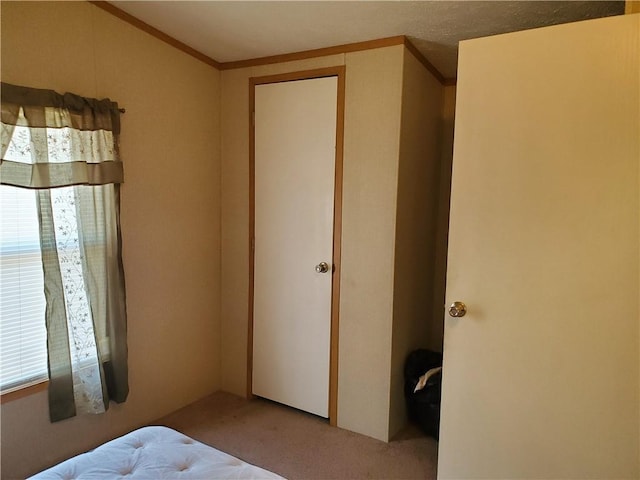 65 Wright Way, Coventry, RI 02816 - bedroom featuring carpet floors, ornamental molding, and multiple windows