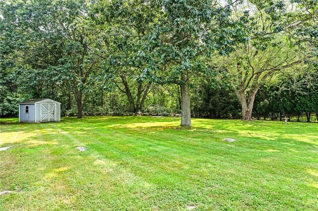 view of yard with an outdoor structure and a storage unit