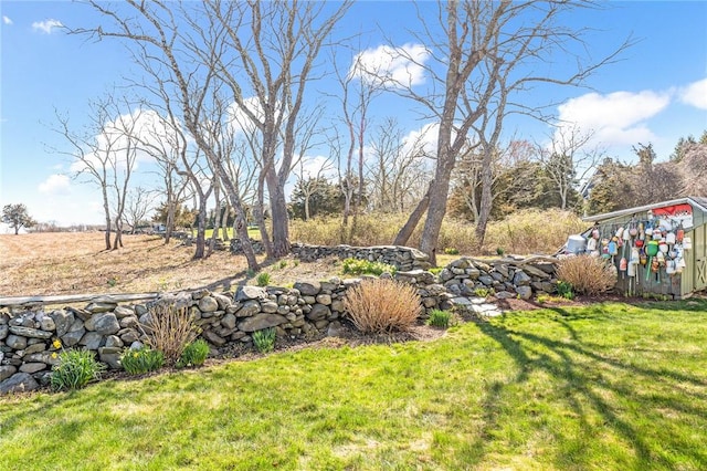 view of yard