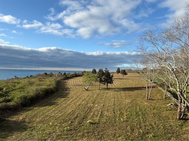 view of yard featuring a water view
