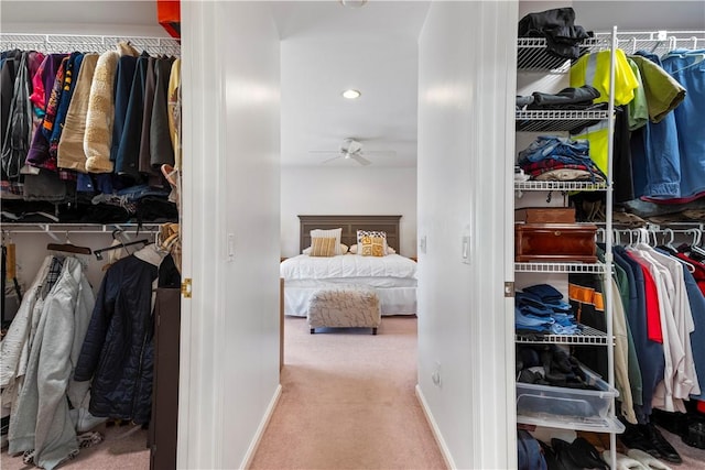 walk in closet featuring ceiling fan and carpet flooring