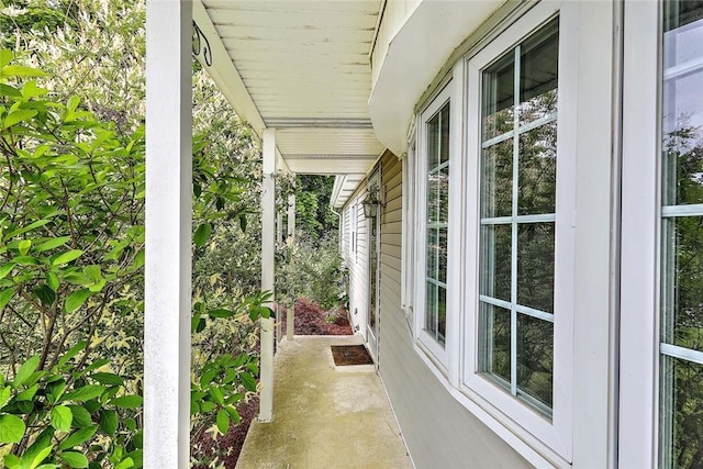 4 Johnson Ct, Bristol, RI 02809 - view of patio